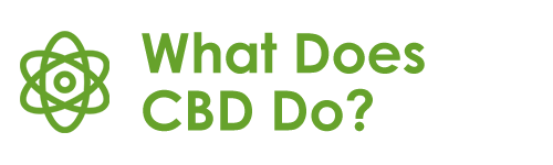 What does CBD do? Find out what CBD does, and how it can help you!